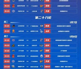 CBA常规赛倒计时；洛杉矶湖人今夜复出首秀；细节引发关注；更衣室稳定；赛程密集仍需轮换的简单介绍-九游体育下载