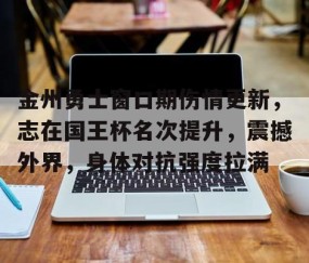 金州勇士窗口期伤情更新，志在国王杯名次提升，震撼外界，身体对抗强度拉满的简单介绍-九游体育